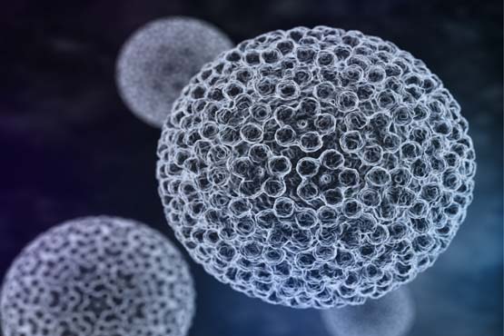 HPV virüsü