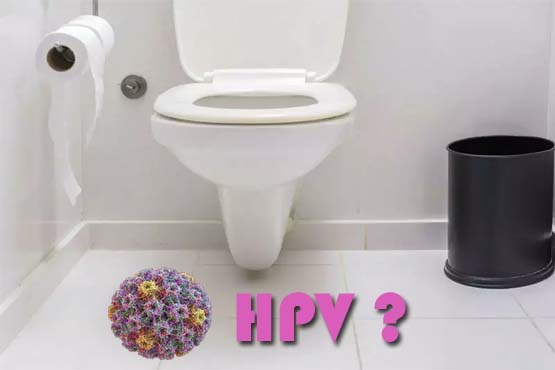 Can HPV be transmitted from a toilet?