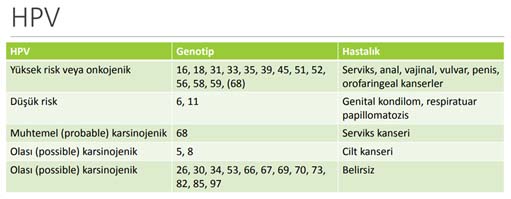What is the HPV virus